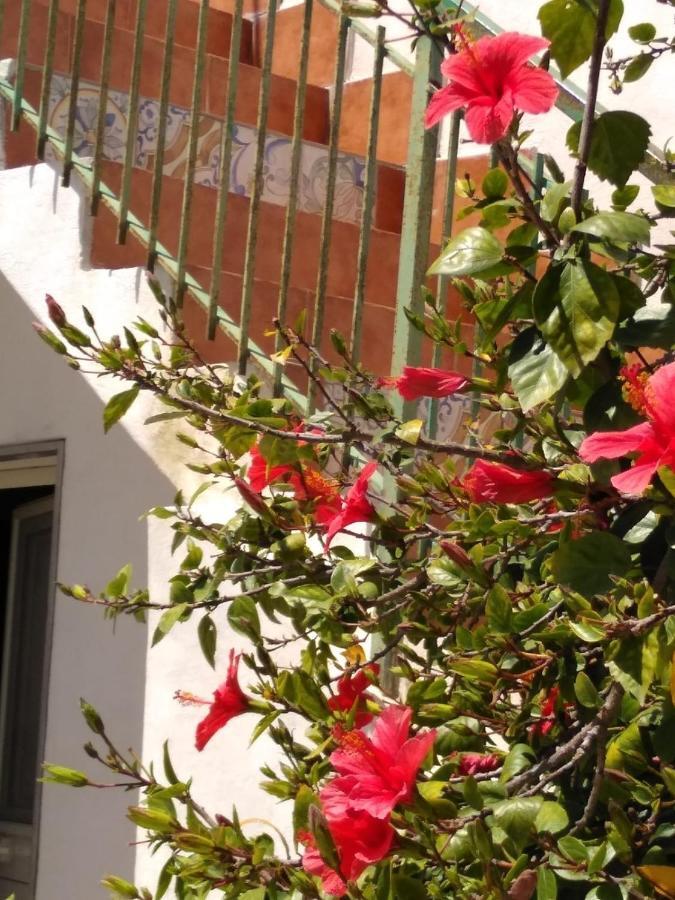 Villa Casale Hibiscus Santa Maria del Focallo Esterno foto